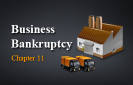 Chapter 11 Bankruptcy